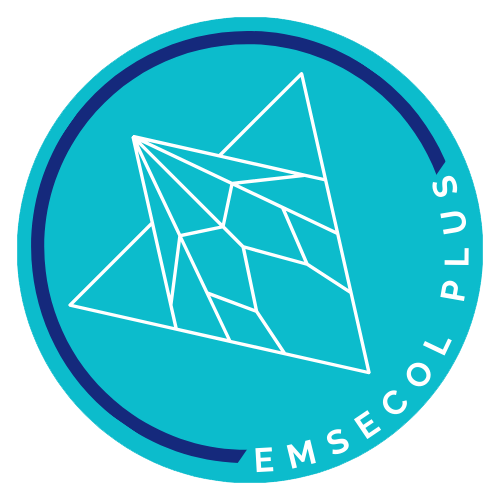 Emsecol Plus, ejecutivo de seguros, asesor de seguros, seguros, polizas, empresa de seguros